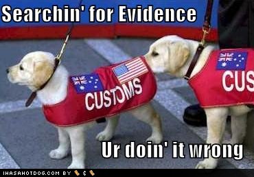funny-dog-pictures-customs-dog-is-searching-for-evidence funny-dog-pictures-customs-dog-is-searching-for-evidence