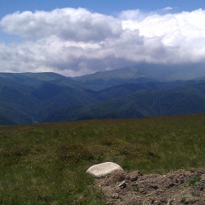IMAG0262