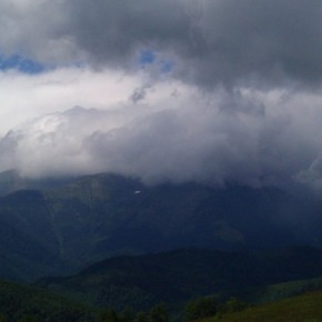 IMAG0268