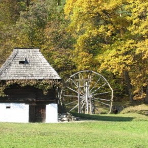 muzeul astra sibiu 6