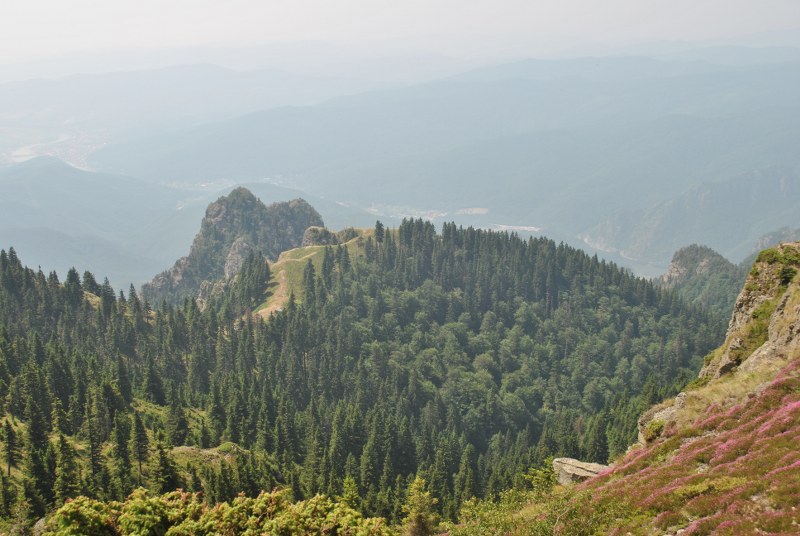 la-cozia (1)