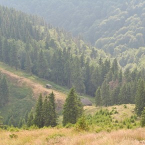 la cozia la cozia
