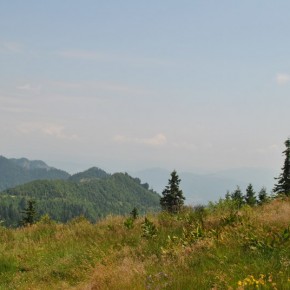 la-cozia (7) la-cozia (7)